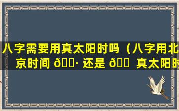 八字需要用真太阳时吗（八字用北京时间 🌷 还是 🐠 真太阳时准）